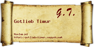 Gotlieb Timur névjegykártya